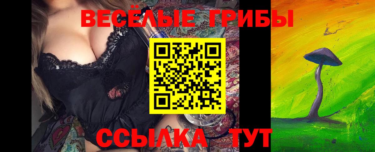 Галлюциногенные грибы прущие грибы  Галлюциногенные грибы GOLDEN TEACHER  Вход с VPN  Люберцы 